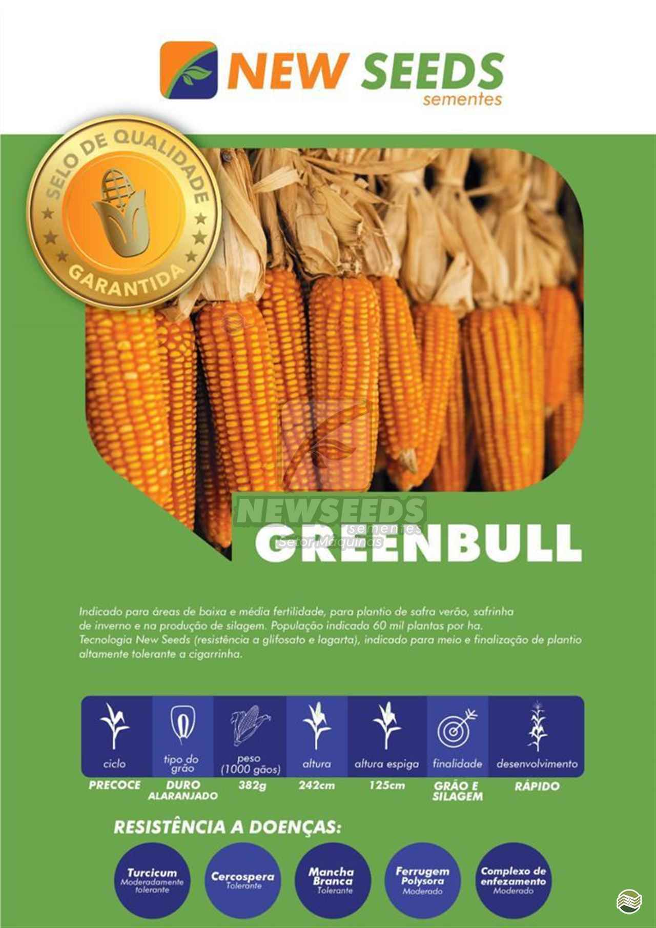 SEMENTES MILHO NEW SEEDS GREENBULL New Seeds Sementes MARACAJU MATO GROSSO DO SUL MS